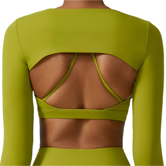 Motion Top